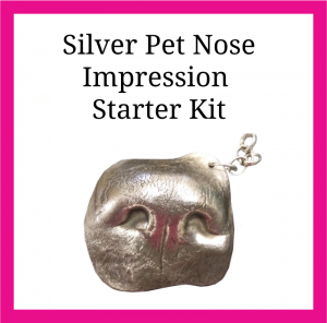 Silver Pet Nose Impression Casting Kit